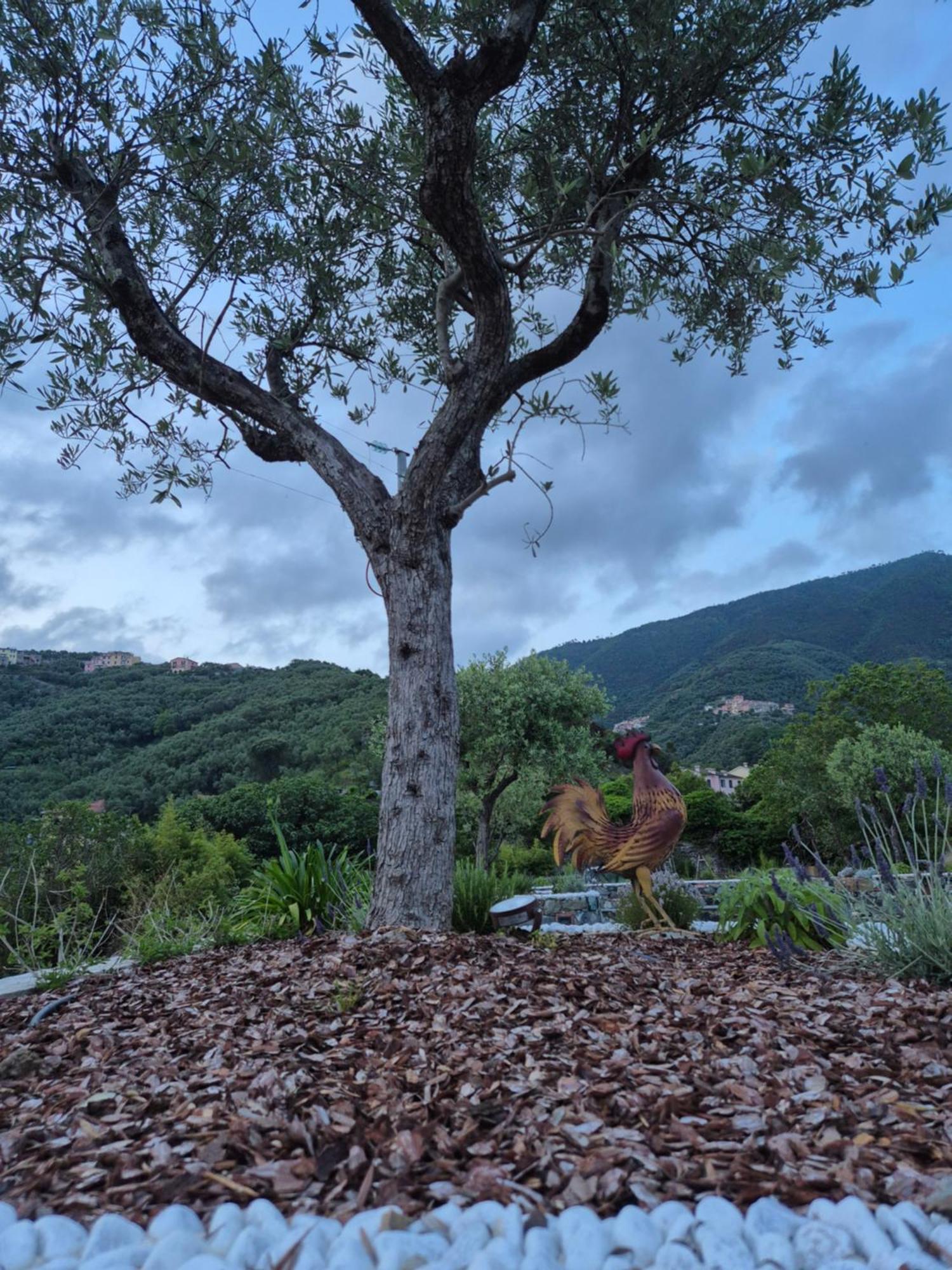 Villa Casa Gardan Levanto Exterior foto